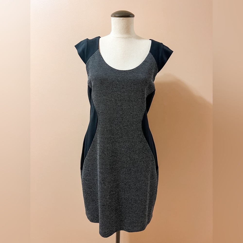 Sheath Dress - Express